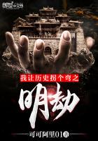 我让历史拐个弯之明劫封面