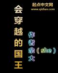 会穿越的国王封面