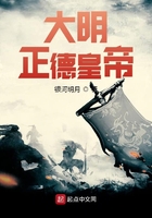 大明正德皇帝封面