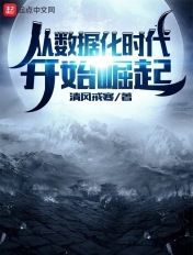 从数据化时代开始崛起封面