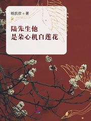 陆先生他是朵心机白莲花封面