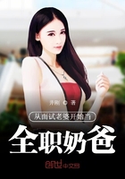 从面试老婆开始当全职奶爸封面