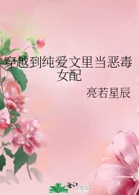 穿越到纯爱文里当恶毒女配封面