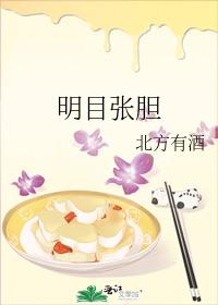 明目张胆封面