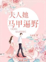 夫人她马甲遍野封面