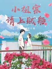 小祖宗请上贼船封面