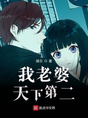 我老婆天下第二封面