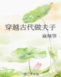 穿越古代做夫子封面