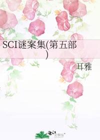 SCI谜案集(第五部)封面