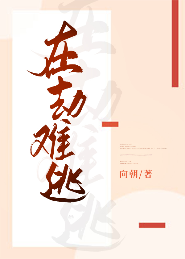 在劫难逃封面