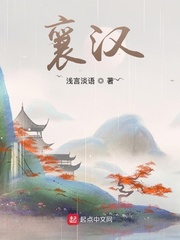 襄汉封面