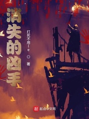 消失的凶手封面