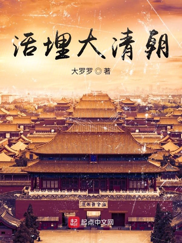 活埋大清朝封面