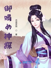 御赐女神探封面