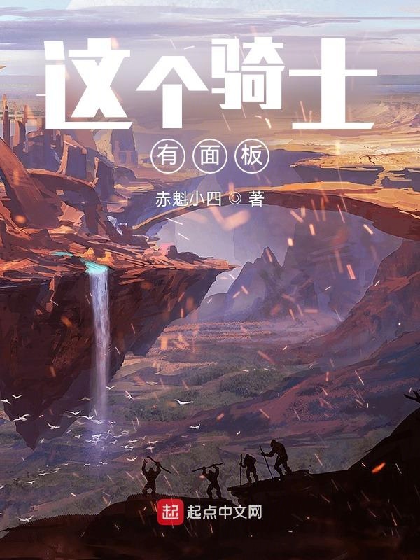 这个骑士有面板封面