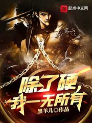 除了硬，我一无所有封面