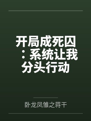 开局成死囚：系统让我分头行动封面