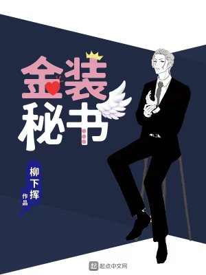 金装秘书封面