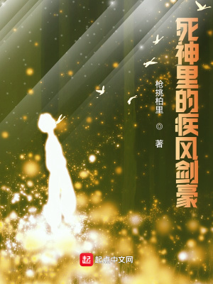 死神里的疾风剑豪封面