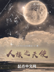 人族巡天使封面