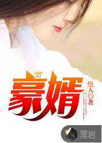 豪婿韩三千全文封面