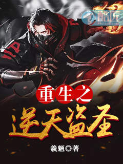 重生之逆天盗圣封面