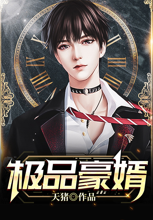 极品豪婿封面