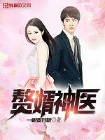 赘婿神医（杜飞陆明雪）封面