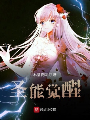 圣能觉醒封面
