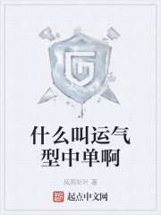 什么叫运气型中单啊 风雨听叶封面