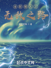 全职猎人之无敌之路封面