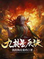 九转星辰诀封面