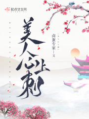 美人心上刺封面