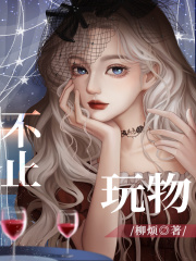 不止玩物封面