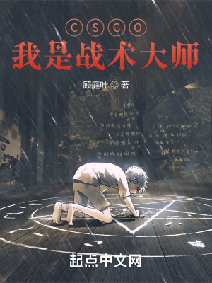 CSGO:我是战术大师封面