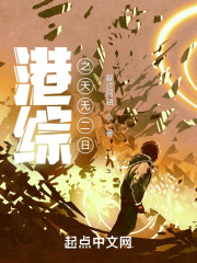 港综之天无二日封面