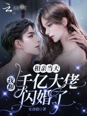相亲当天，我和千亿大佬闪婚了封面