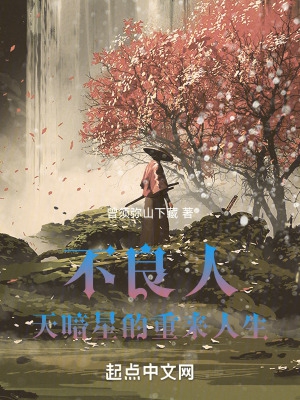 不良人，天暗星的重来人生封面