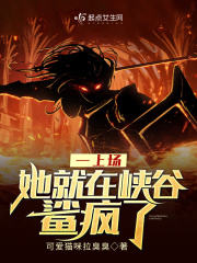 一上场，她就在峡谷鲨疯了封面