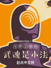斗罗之我的武魂是小法封面