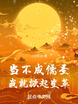 当不成儒圣我就掀起变革封面