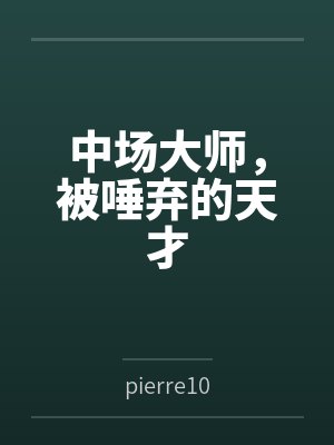 中场大师，被唾弃的天才封面