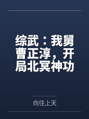 综武:我舅曹正淳,开局北冥神功封面