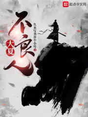 大夏不良人封面