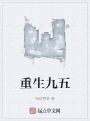 重生九五封面