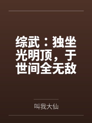 综武:独坐光明顶,于世间全无敌封面