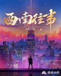 西南往事封面