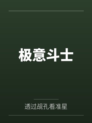 极意斗士封面