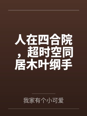 人在四合院,超时空同居木叶纲手封面