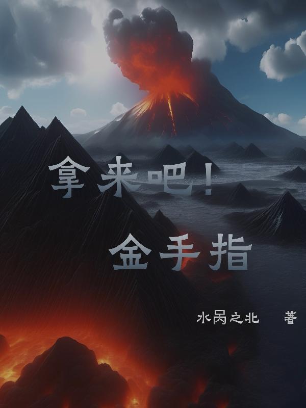 拿来了吧封面